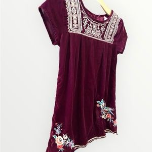 JOHNNY WAS Girls Velvet Embroidered Dress
